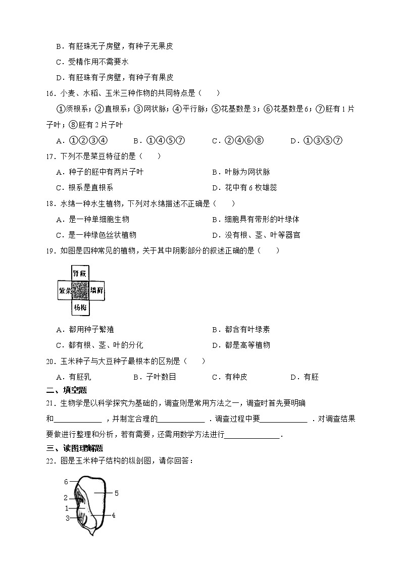 【中考一轮复习】2023年生物中考冀教版复习训练卷七   专题7 爱护心脏 确保运输（含解析）第3页