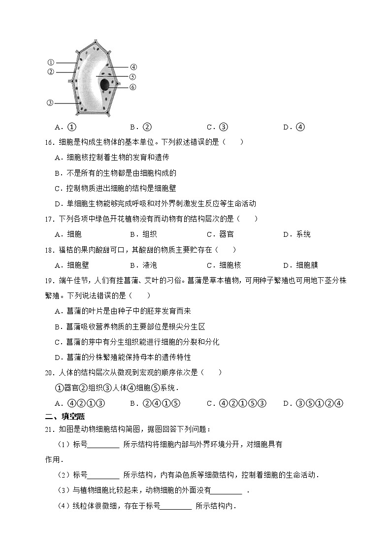 【中考一轮复习】2023年生物中考冀教版复习训练卷二  专题2 生物体的结构层次（含解析）第3页
