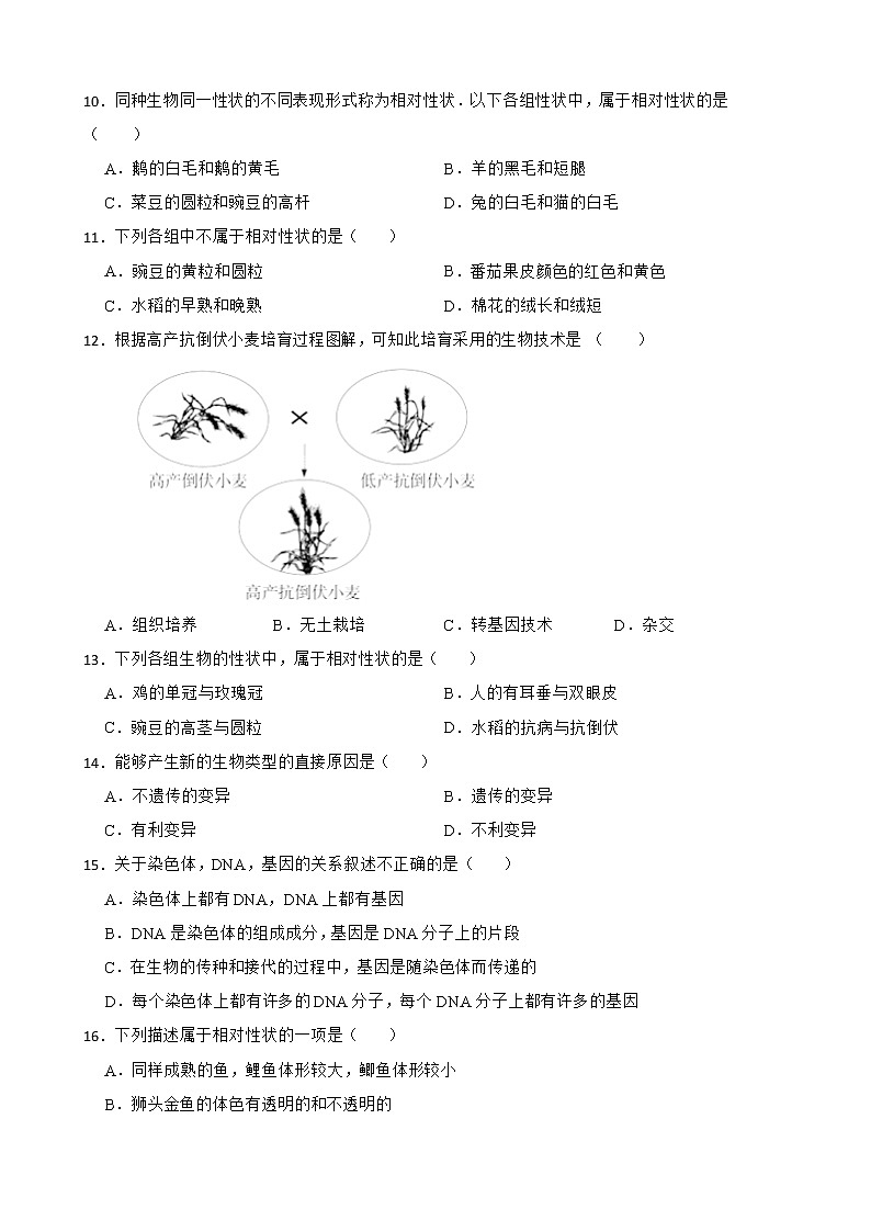 【中考一轮复习】2023年生物中考冀教版复习训练卷二十三   专题23 生物的遗传和变异（含答案）第2页