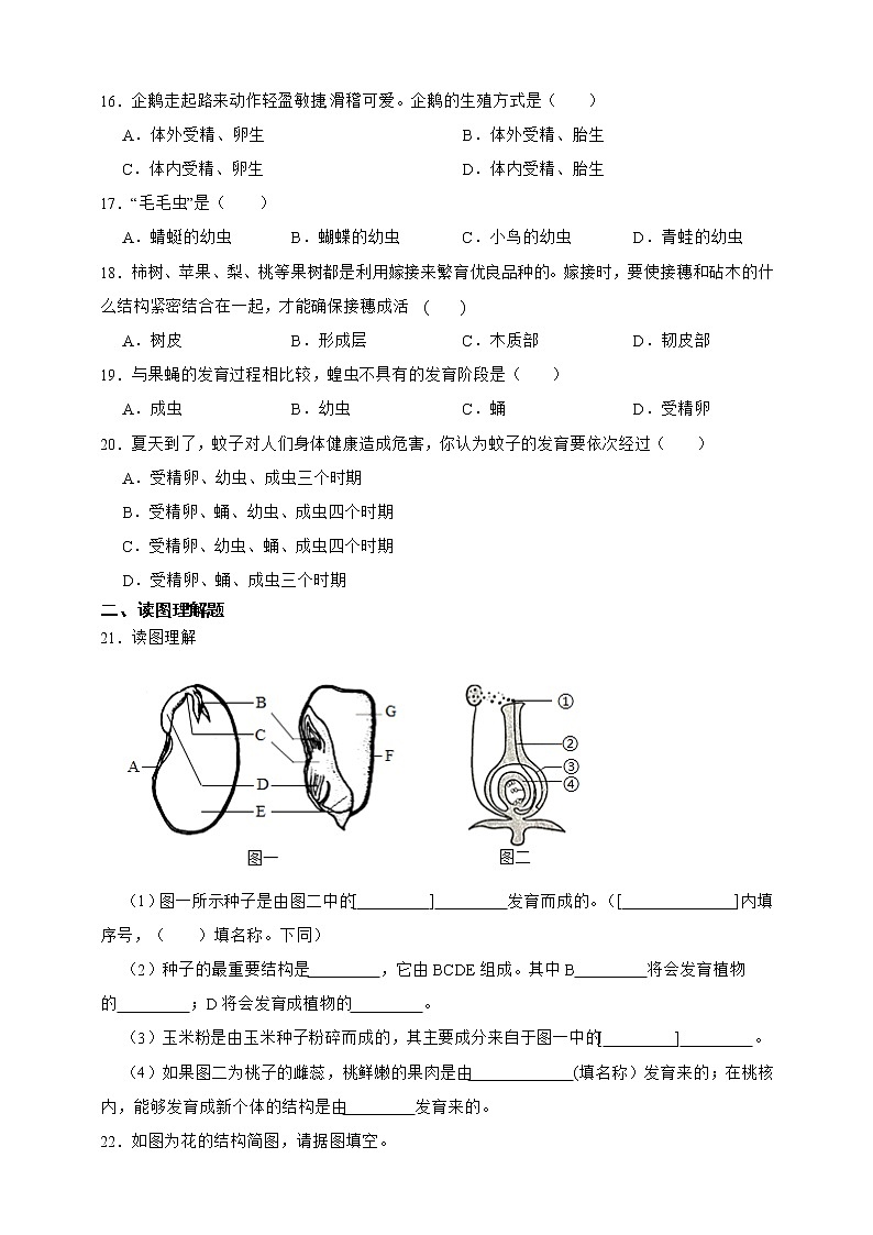 【中考一轮复习】2023年生物中考冀教版复习训练卷二十二   专题22 生物的繁殖(含解析)第3页