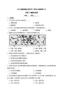 【中考一轮复习】2023年生物中考冀教版复习训练卷十九   专题19细菌和真菌（含解析）