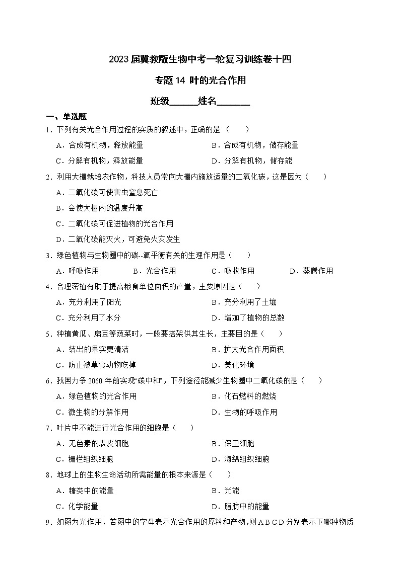 【中考一轮复习】2023年生物中考冀教版复习训练卷十四   专题14 叶的光合作用（含解析）第1页