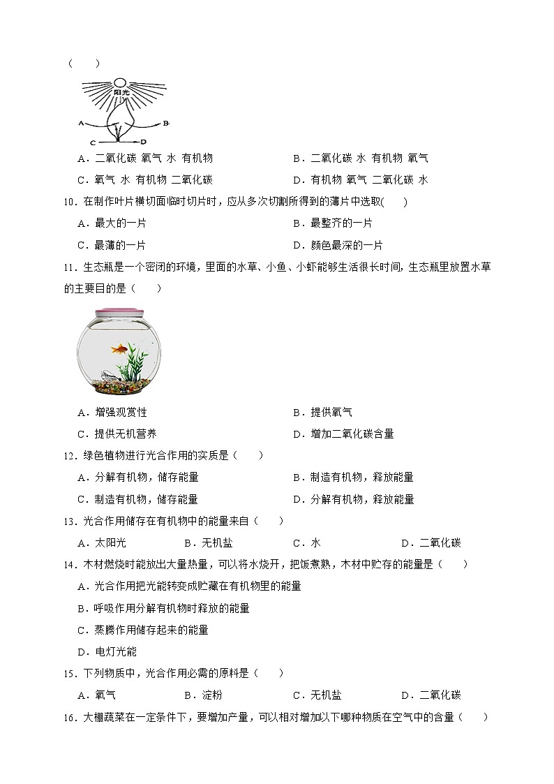 【中考一轮复习】2023年生物中考冀教版复习训练卷十四   专题14 叶的光合作用（含解析）第2页