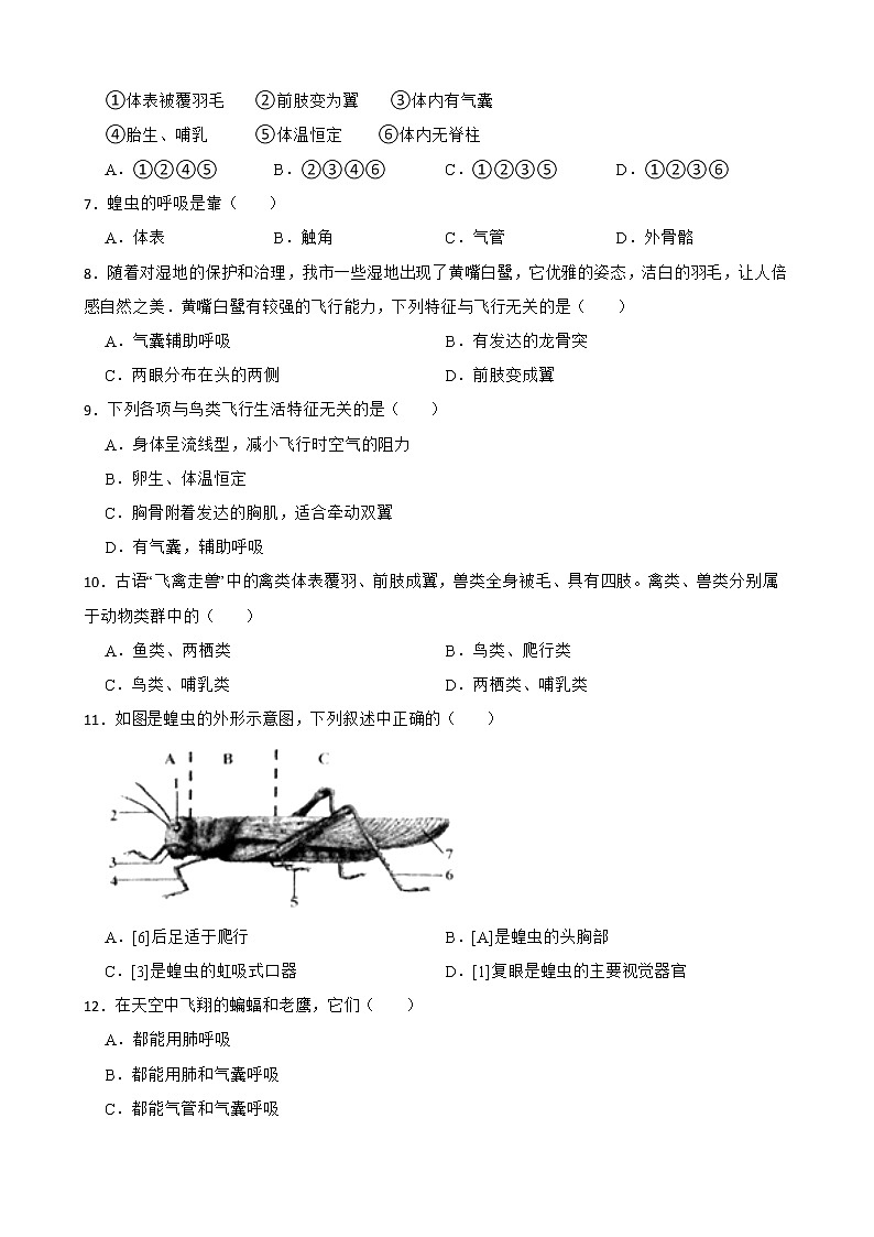 【中考一轮复习】2023年苏科版生物训练卷——专题11 地面上的生物（ 含解析）02