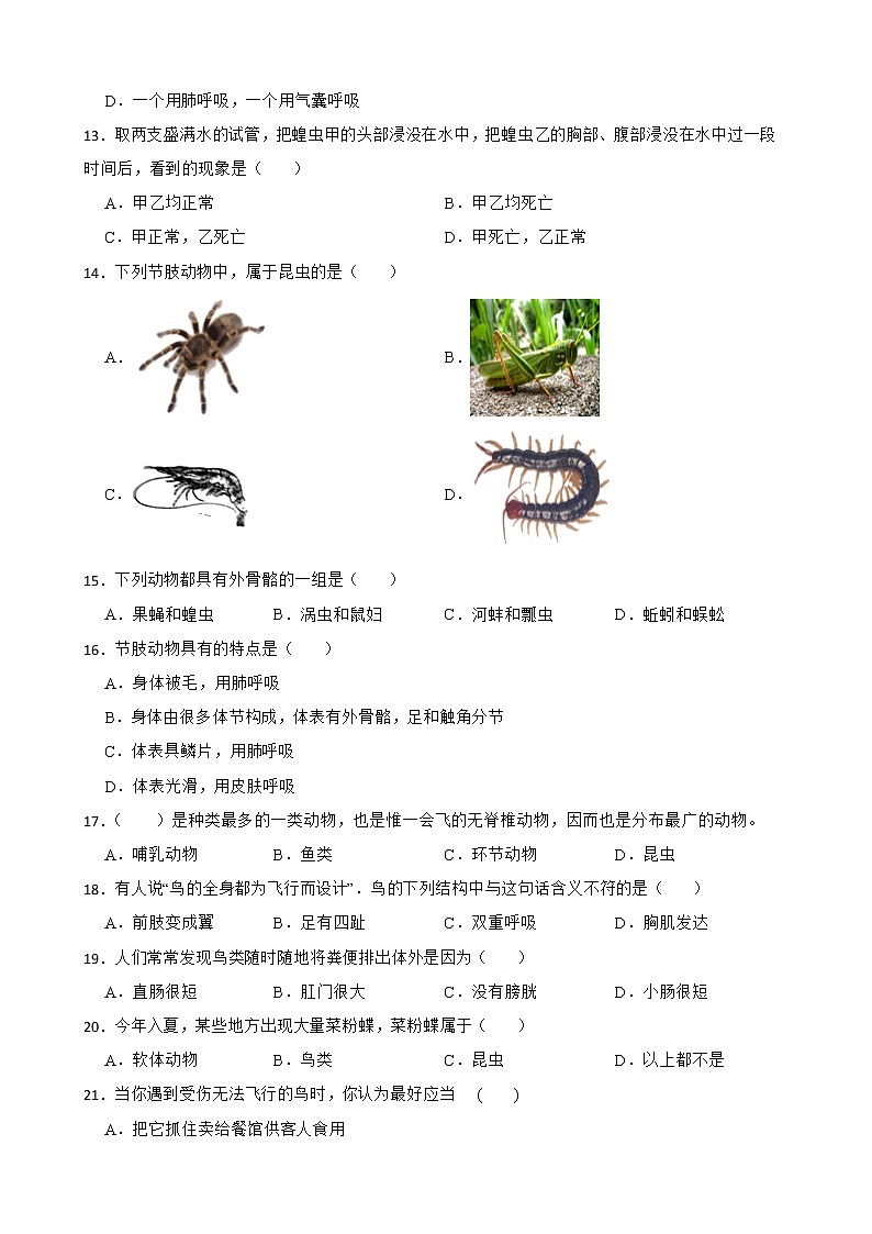 【中考一轮复习】2023年苏科版生物训练卷——专题11 地面上的生物（ 含解析）03