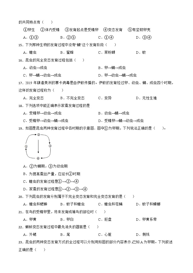 【中考一轮复习】2023年苏科版生物训练卷——专题20 动物的生殖和发育（ 含解析）03