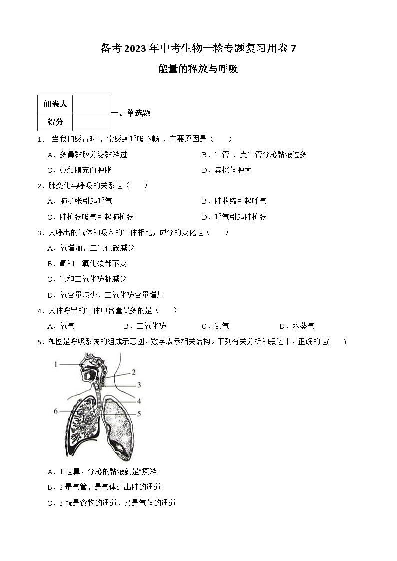 【中考一轮复习】2023年苏科版生物训练卷——专题7 能量的释放与呼吸 （含解析）第1页