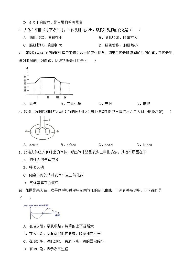 【中考一轮复习】2023年苏科版生物训练卷——专题7 能量的释放与呼吸 （含解析）第2页