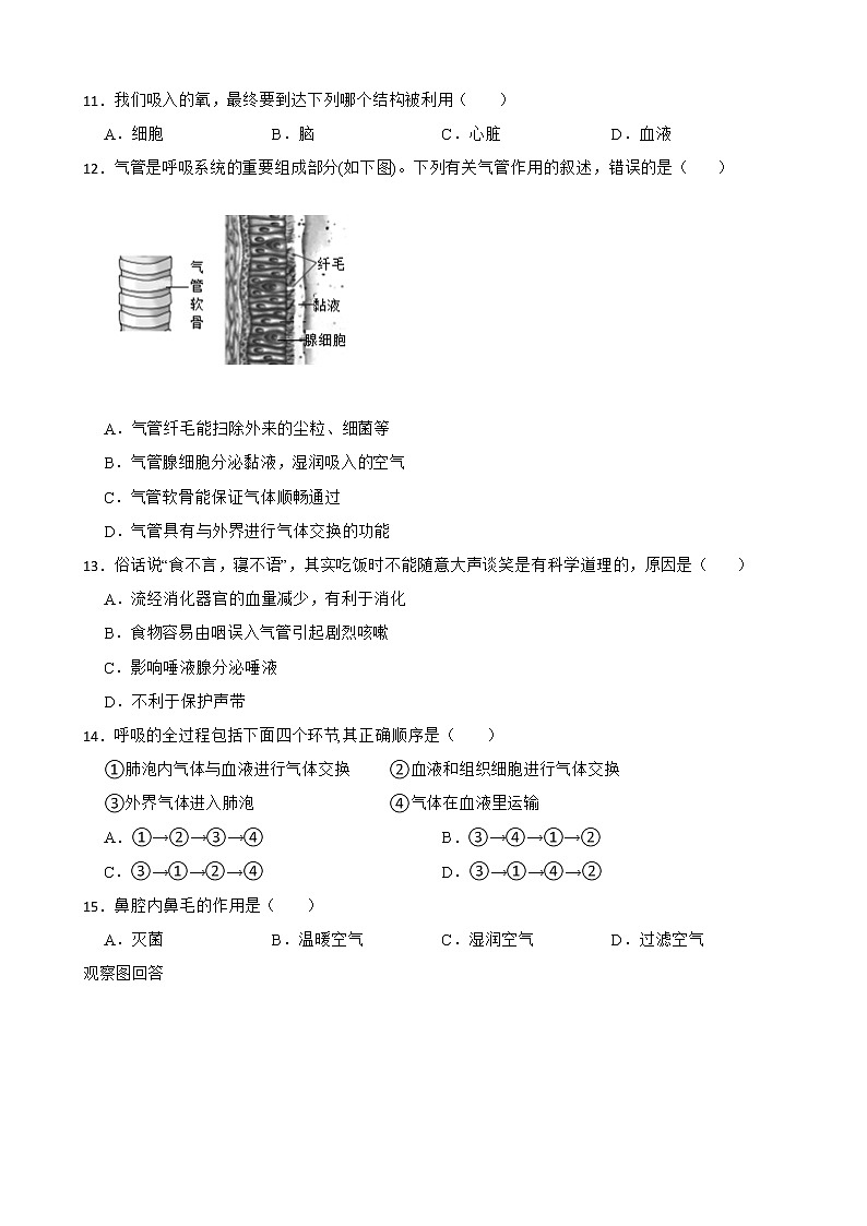 【中考一轮复习】2023年苏科版生物训练卷——专题7 能量的释放与呼吸 （含解析）第3页