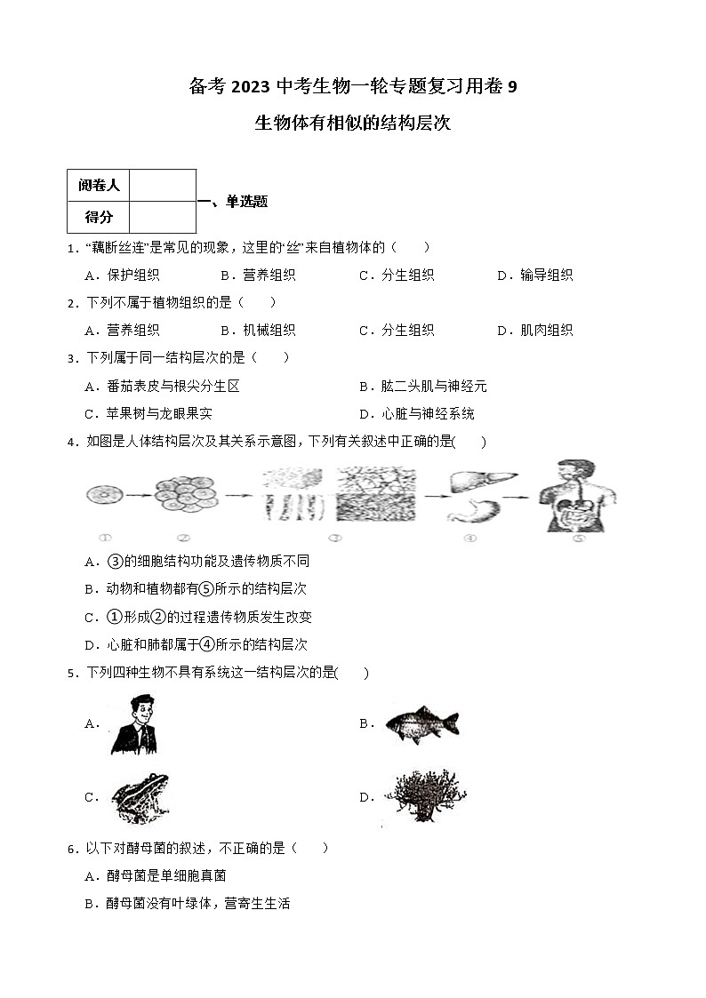【中考一轮复习】2023年苏科版生物训练卷——专题9 生物体有相似的结构层次（ 含解析）01