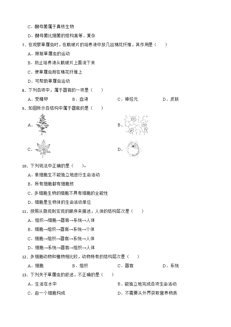 【中考一轮复习】2023年苏科版生物训练卷——专题9 生物体有相似的结构层次（ 含解析）02