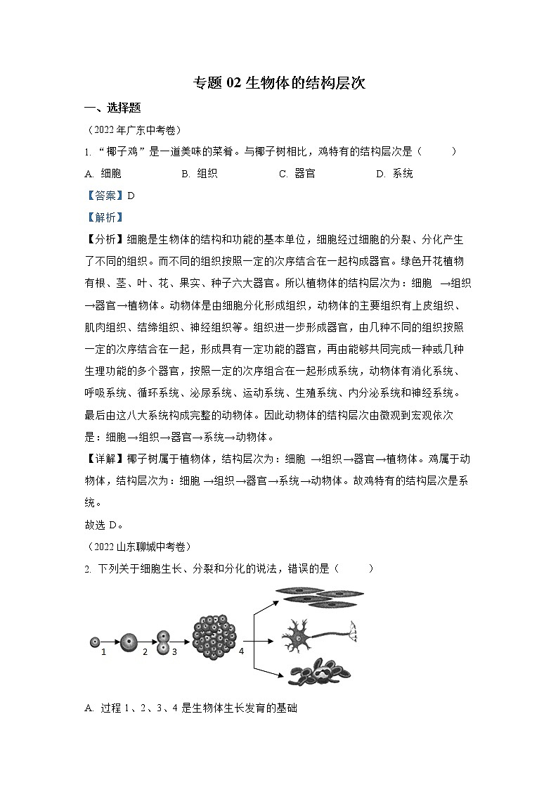 【备战2023】2022年全国通用中考生物真题汇编——专题02 生物体的结构层次-（解析版）第1页