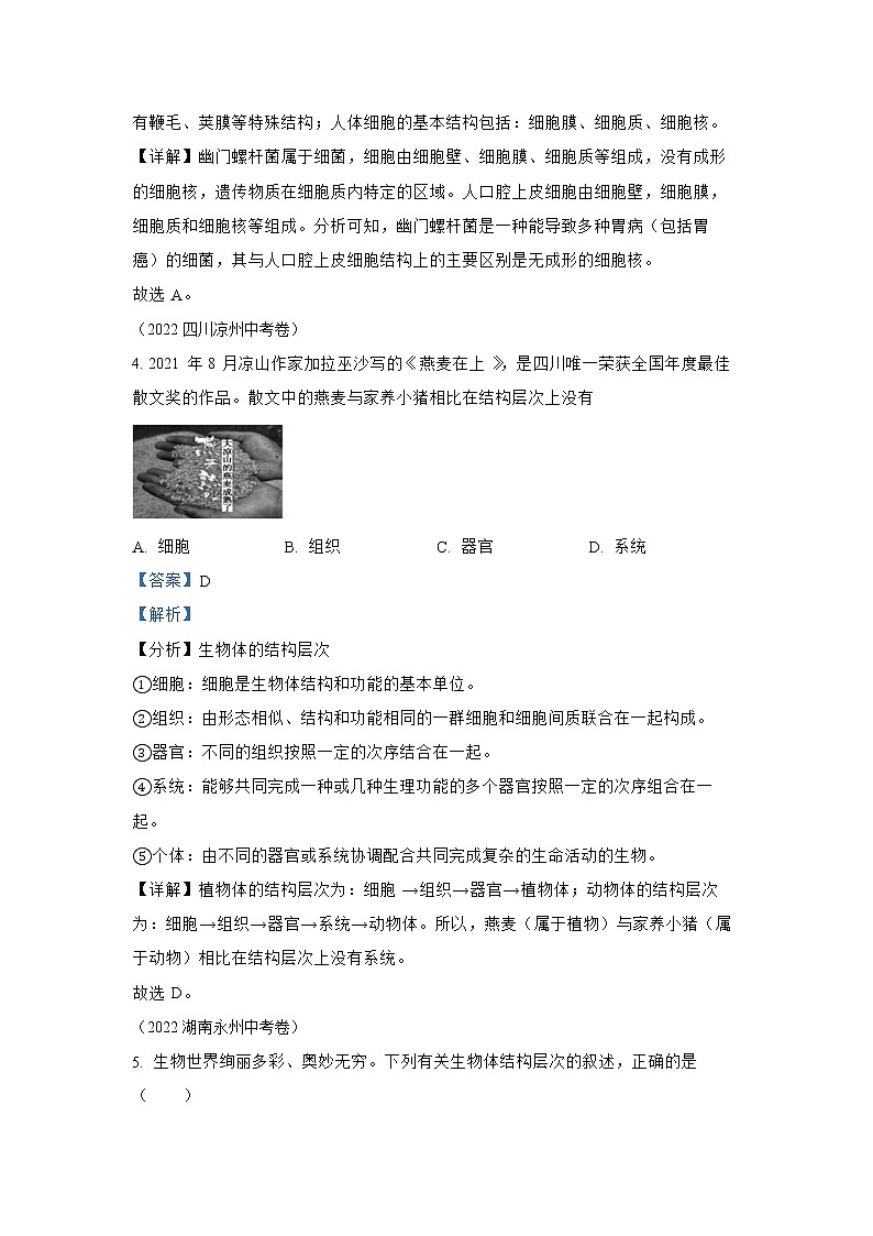 【备战2023】2022年全国通用中考生物真题汇编——专题02 生物体的结构层次-（解析版）第3页