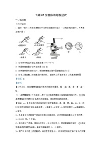 【备战2023】2022年全国通用中考生物真题汇编——专题02生物体的结构层次（解析版）