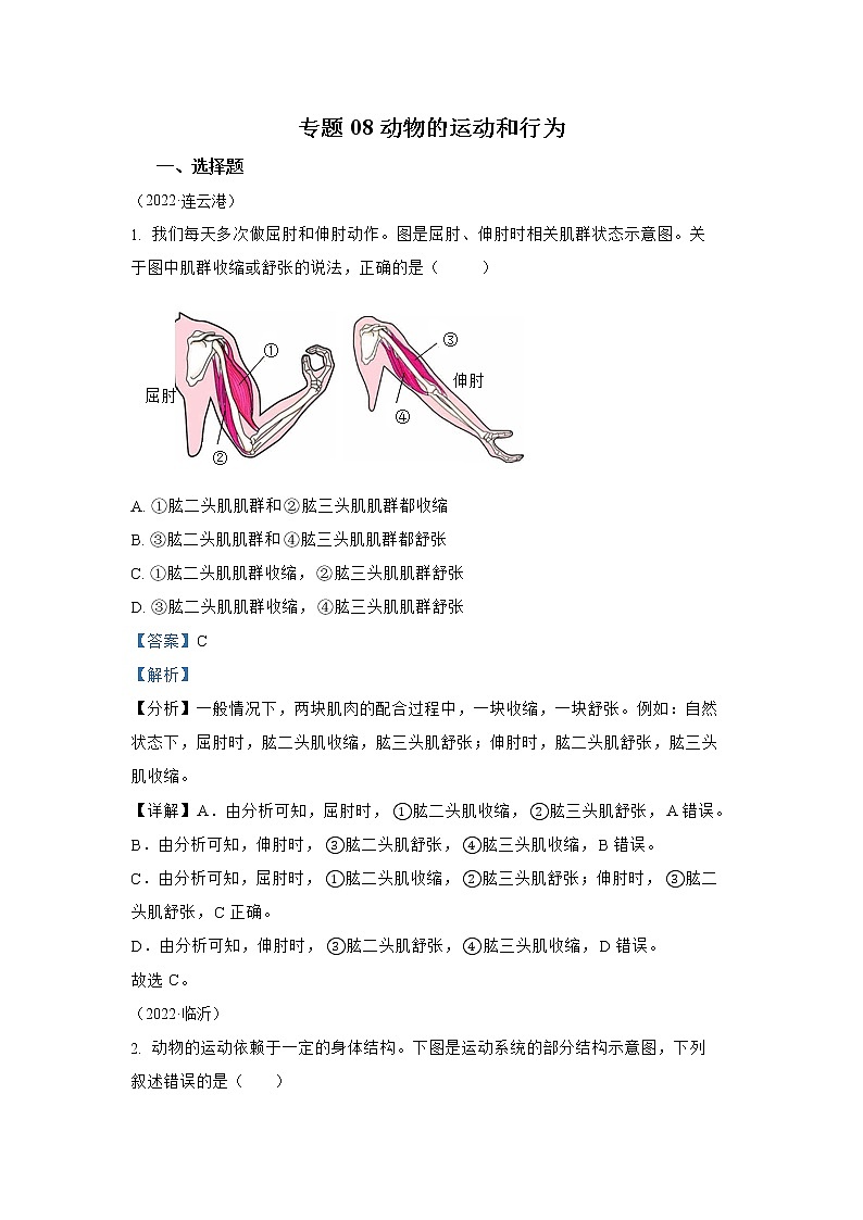 【备战2023】2022年全国通用中考生物真题汇编——专题08动物的运动和行为（解析版）第1页