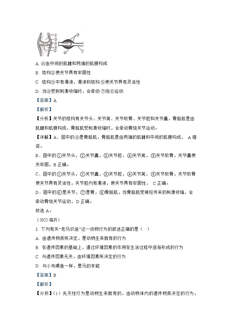 【备战2023】2022年全国通用中考生物真题汇编——专题08动物的运动和行为（解析版）第2页