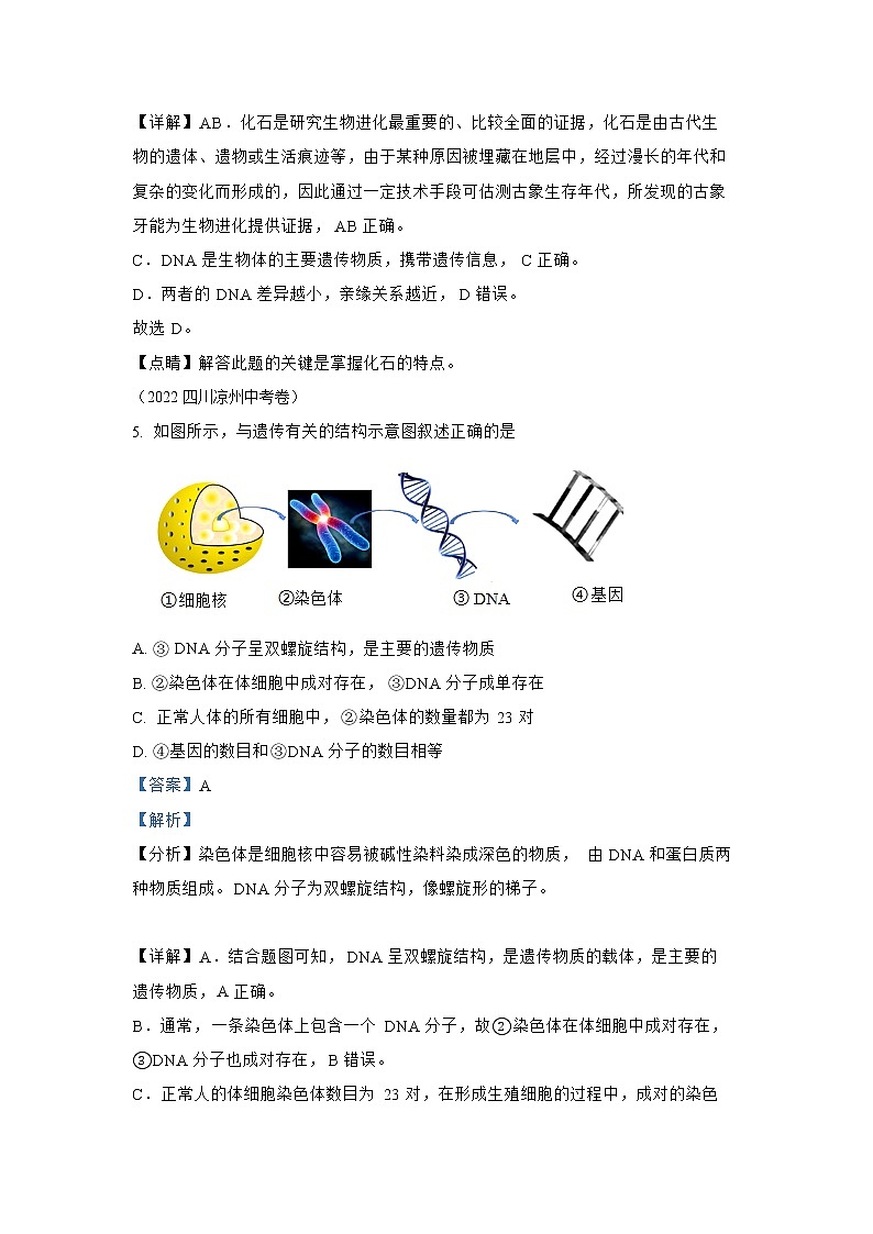 【备战2023】2022年全国通用中考生物真题汇编——专题12 生物的遗传和变异-（解析版）第3页
