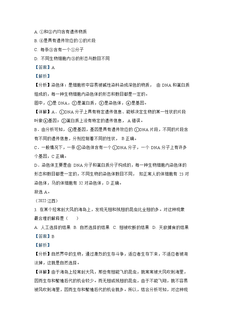【备战2023】2022年全国通用中考生物真题汇编——专题12生物的遗传和变异（解析版）第2页