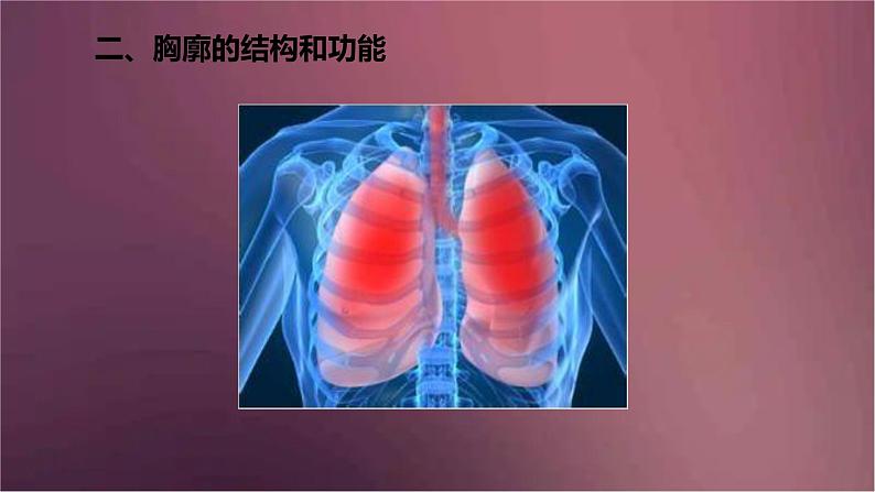 人教版生物七年级下册 《发生在肺内的气体交换》课件07