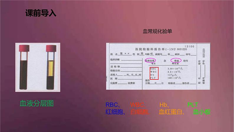 人教版生物七年级下册 《流动的组织（血液）》课件第3页