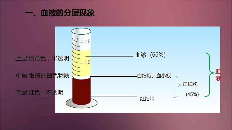 人教版生物七年级下册 《流动的组织（血液）》课件第4页