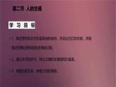 人教版生物七年级下册 《人的生殖》课件