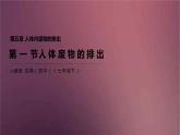 人教版生物七年级下册 《人体内废物的排出》课件