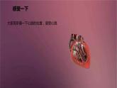 人教版生物七年级下册 《输送血液的泵──心脏》课件