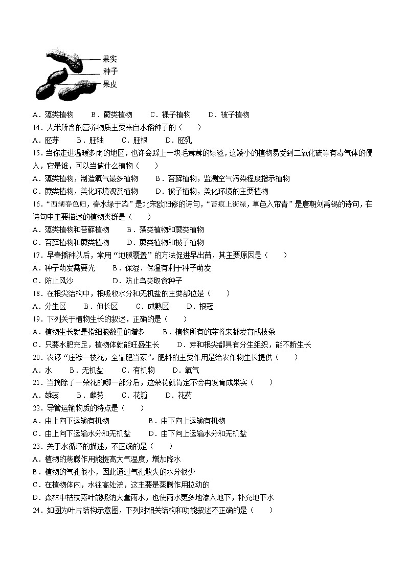 安徽省池州市青阳县2022-2023学年七年级上学期期末生物试题（含答案）第2页