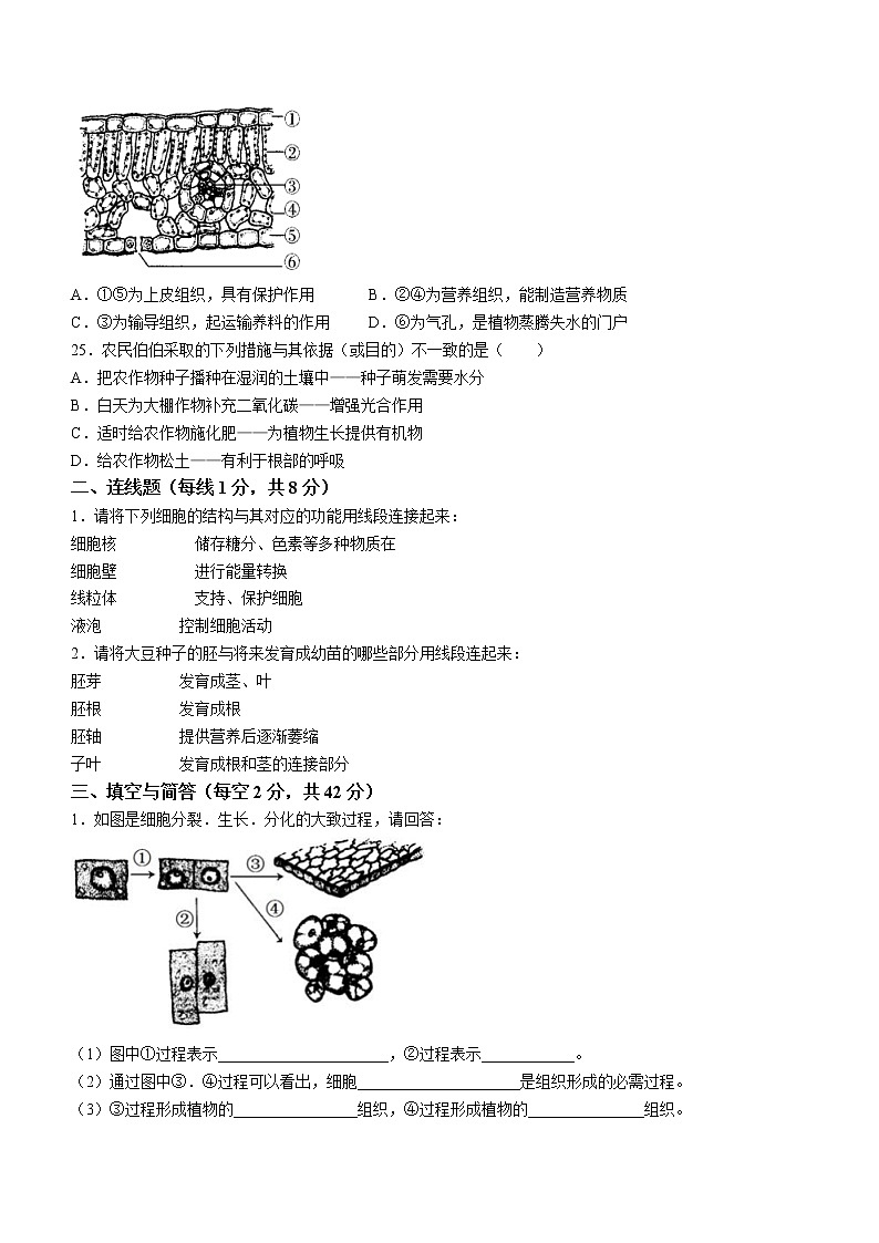 安徽省池州市青阳县2022-2023学年七年级上学期期末生物试题（含答案）第3页