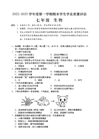 广东省汕头市金平区2022-2023学年七年级上学期期末教学质量监测生物试题（含答案）