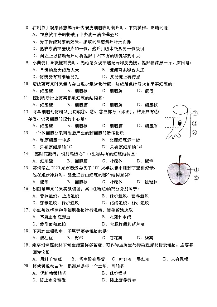 广东省汕头市金平区2022-2023学年七年级上学期期末教学质量监测生物试题（含答案）02