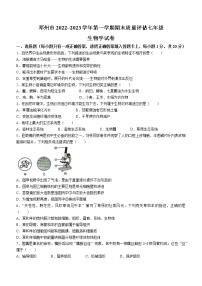 河南省南阳市邓州市2022-2023学年七年级上学期期末生物试题（含答案）