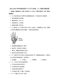 河南省周口市十九中2022-2023学年八年级上学期期末生物试卷（含答案）