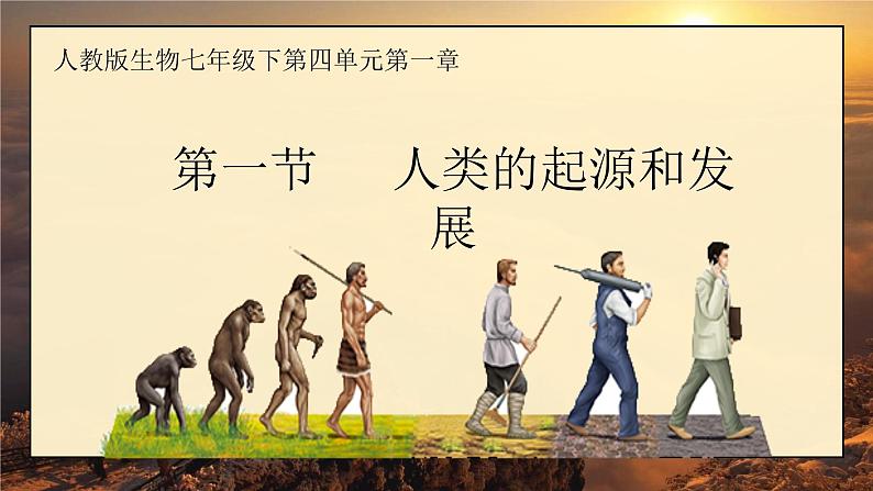 人教版生物1.1《人类的起源与发展》ppt课件01