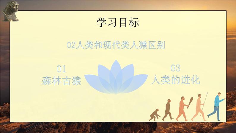 人教版生物1.1《人类的起源与发展》ppt课件02