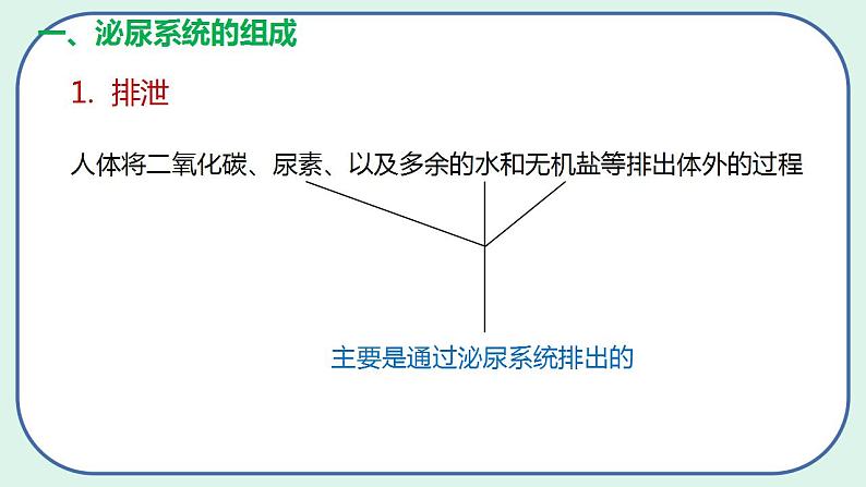 4.5 人体内废物的排出（第1课时）第7页