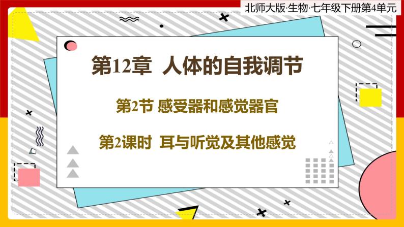 12.2.2《感受器和感觉器官》课件PPT+教案+同步练习01