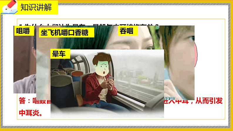 12.2.2《感受器和感觉器官》课件PPT+教案+同步练习08