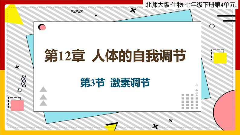 12.3《激素调节》课件PPT+教案+同步练习01