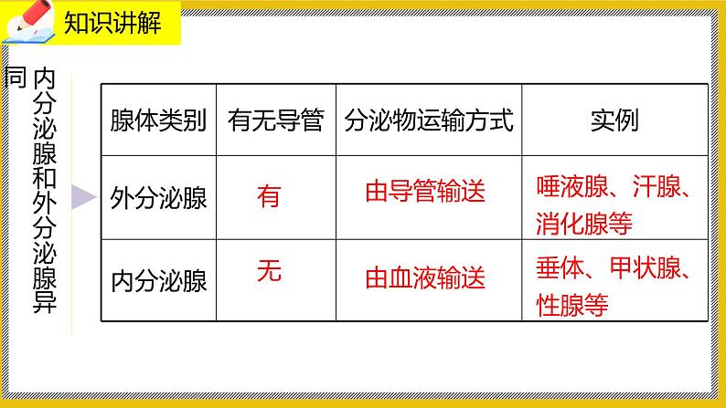 12.3《激素调节》课件PPT+教案+同步练习06