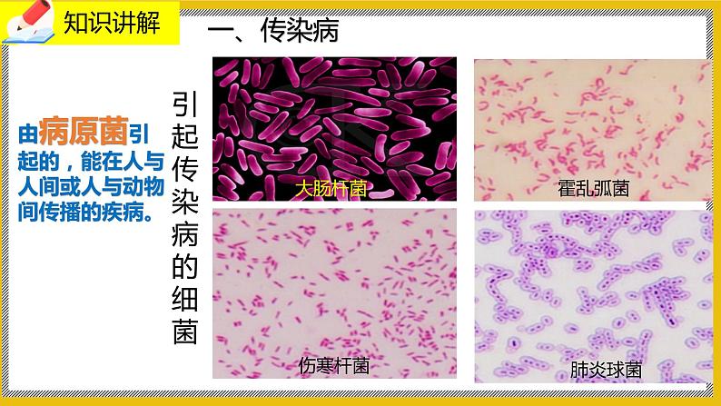 13.2《预防传染病》课件PPT第4页