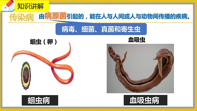 13.2《预防传染病》课件PPT第7页