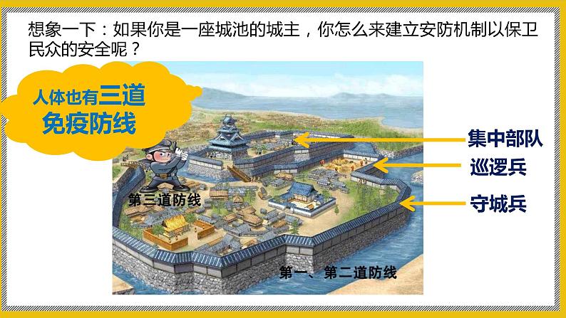 13.3《人体免疫》课件PPT+教案+同步练习04