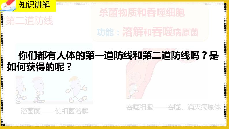 13.3《人体免疫》课件PPT+教案+同步练习07