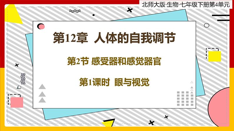 12.2.1《感受器和感觉器官》课件PPT +教案+ 同步练习01