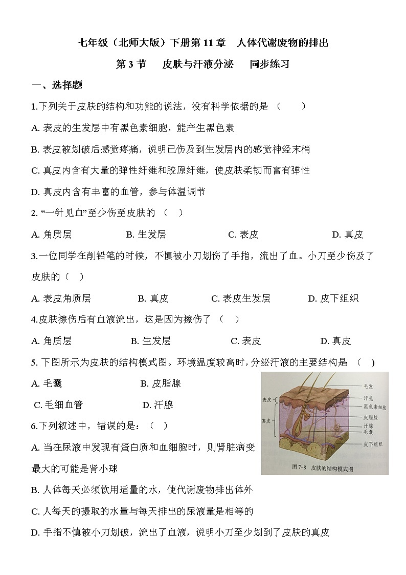 11.3《皮肤与汗液分泌》同步练习第1页