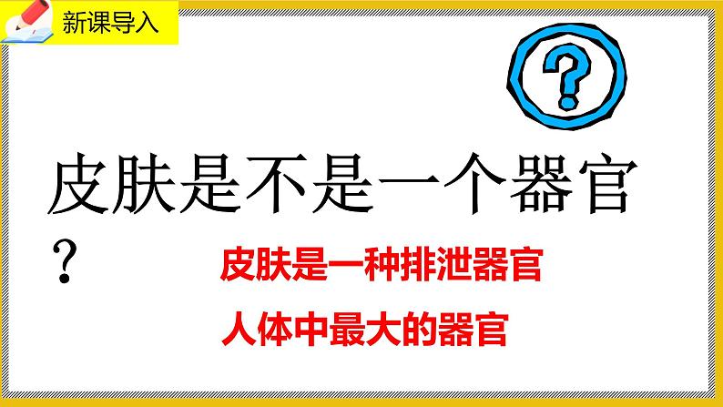 11.3《皮肤与汗腺》课件PPT第2页