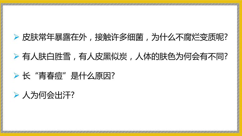 11.3《皮肤与汗腺》课件PPT第3页