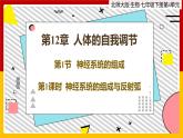 12.1.1《神经系统的组成》课件PPT+教案+同步练习